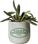 Good Housekeeping Green Plant Era 6 Image.