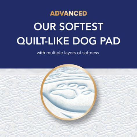 Close up of softest quilt-like Scott® Pet Guard Advanced Dog Pads 