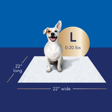 Dimensions of Scott® Pet Guard Advanced Dog Pads large size