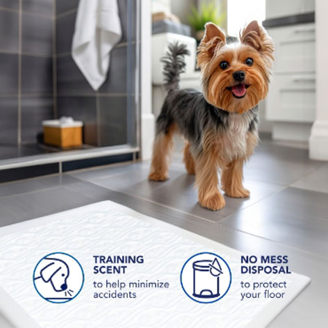 Scott® Pet Guard Dog Pads include training scent to minimize messes and no mess disposal for easy clean up