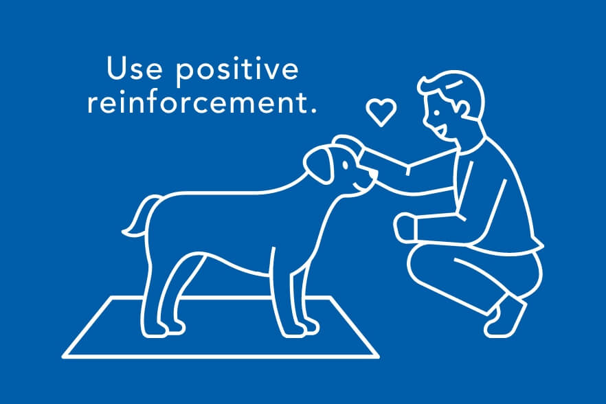 Use positive reinforcement